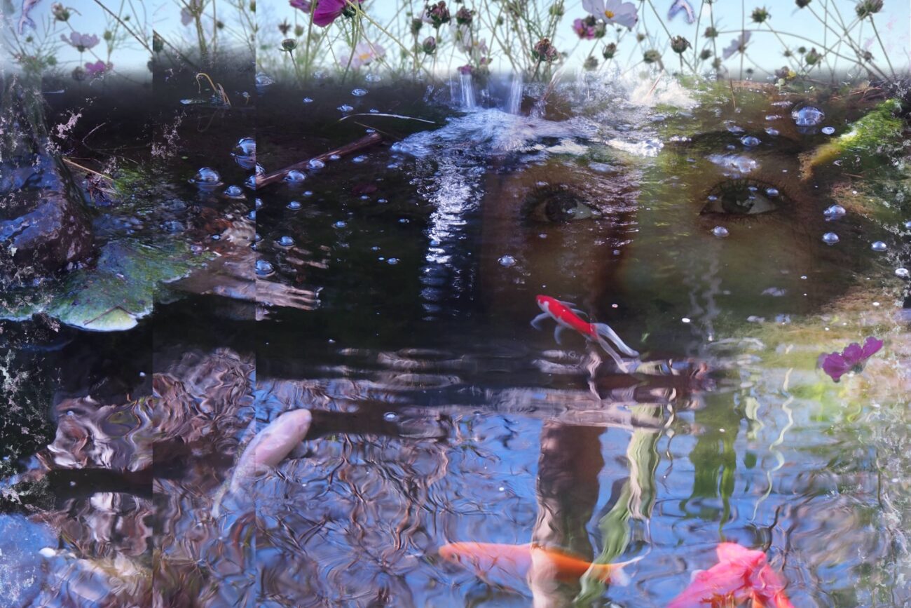 The Koi Cosmos digital collage